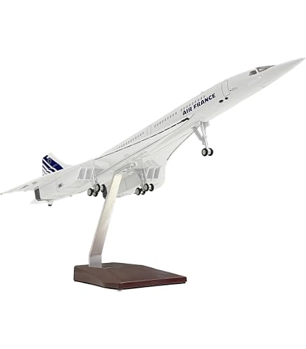 Amazon.com: Mahfisj 1/125 Scale Model Airplane - France Livery